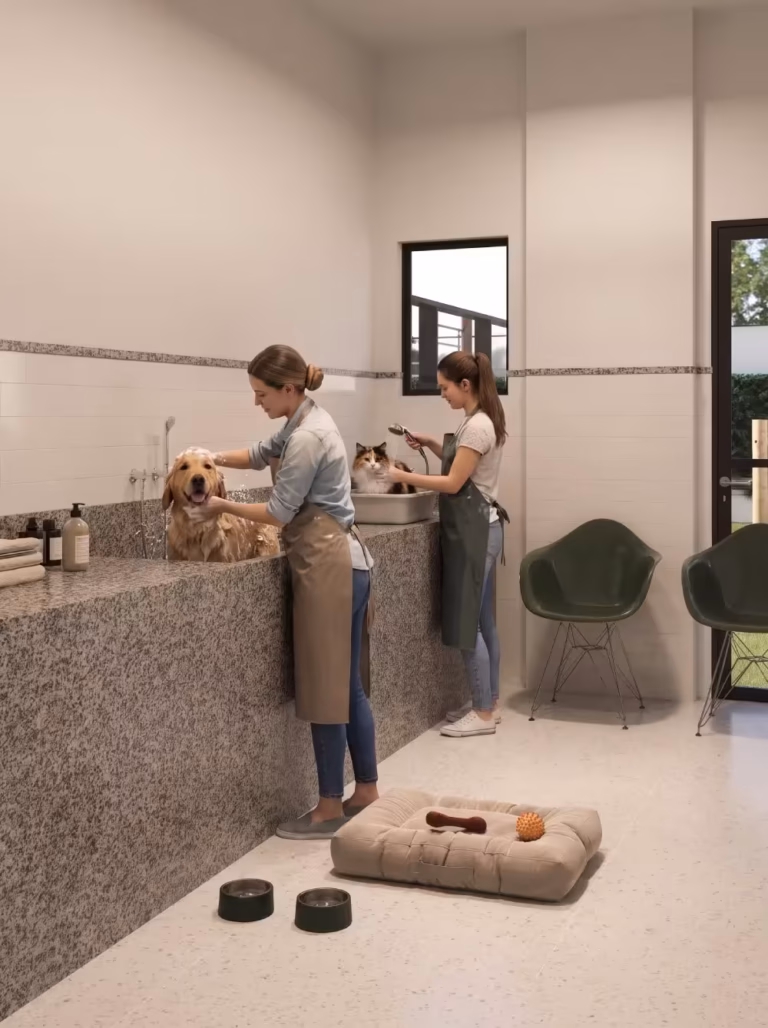 Pet Wash